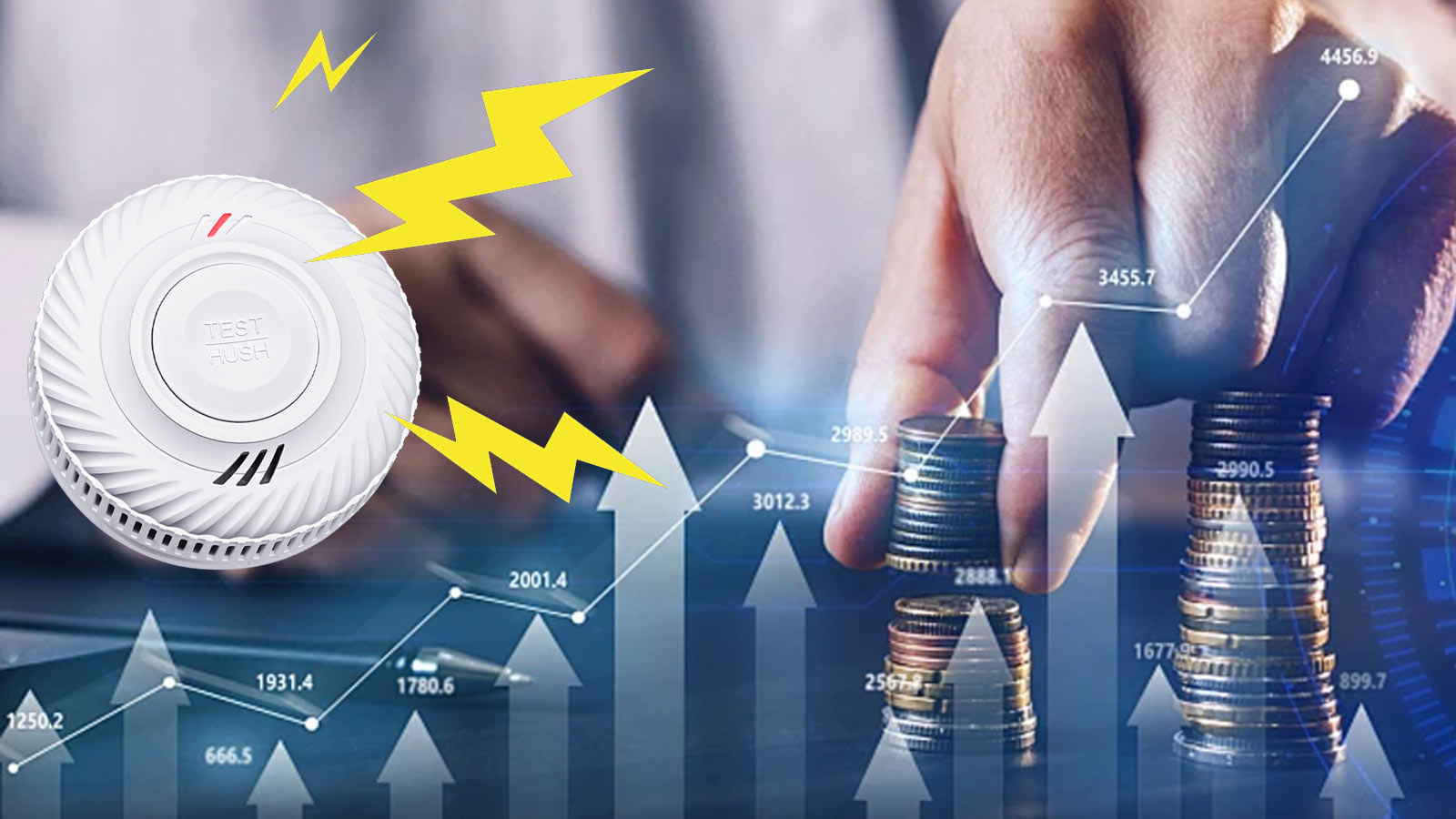 �������������г�������ʲô?