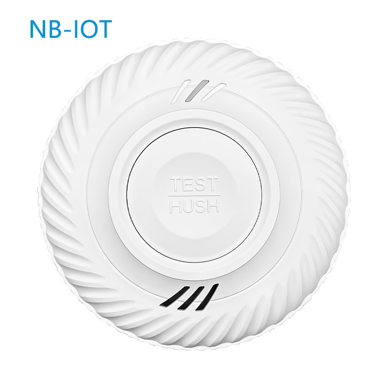 NB����������