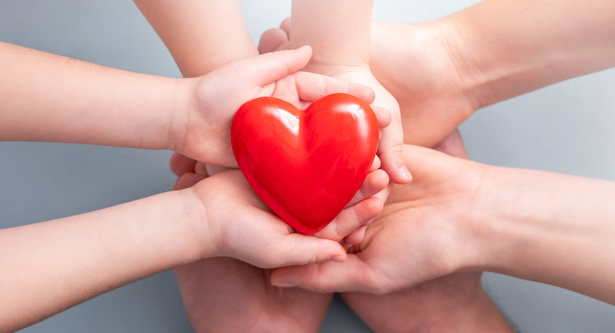 ���ϻ���Ŀ���¡��Ϲ�28NG�����Ƽ��ػ���������