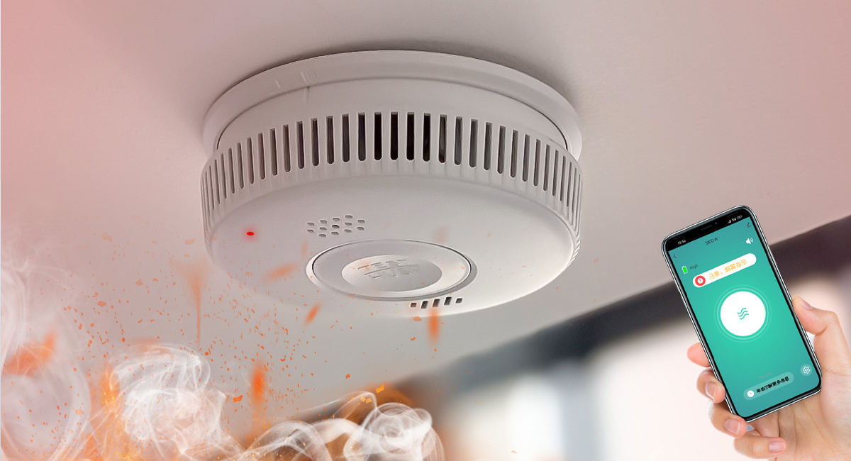 ��������������ԭ�������